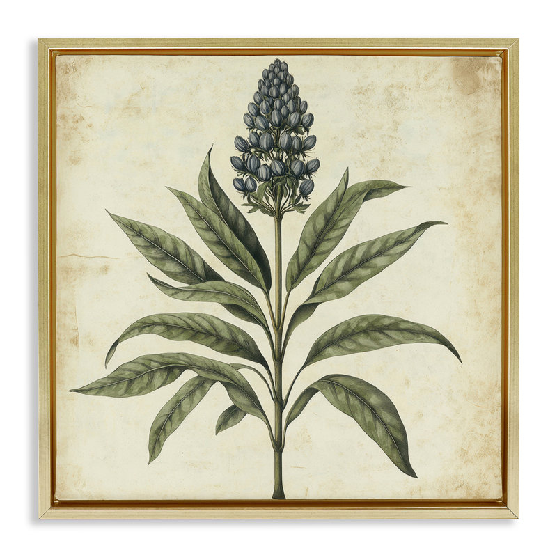 Cadre flottant rétro avec illustration botanique bleue, design par Petal Prints Design, H 18 po x l 18 po