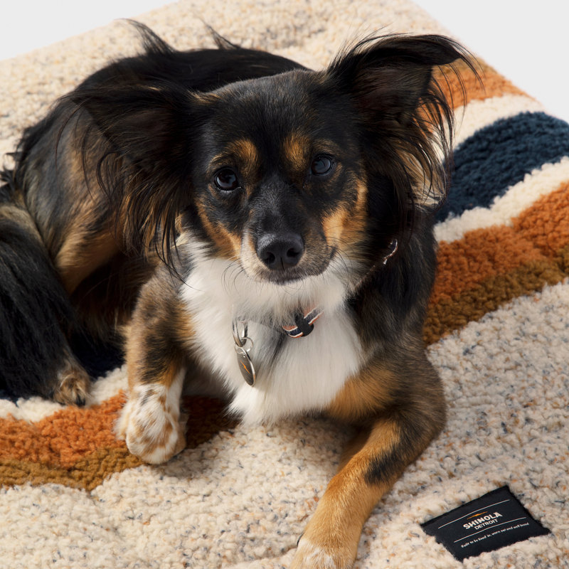Pet Comfort Cushion, Small (30" W x 23" D x 2" H), Oatmeal