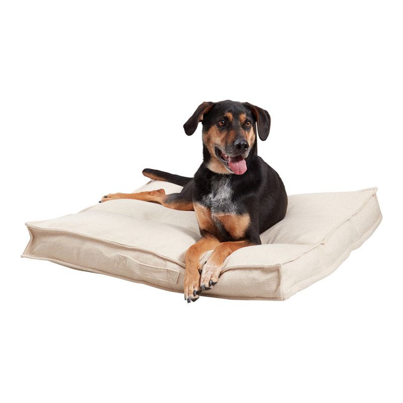 Lit pour chien Longwood, Moyen (l 32 po x P 32 po x H 5 po), Crème