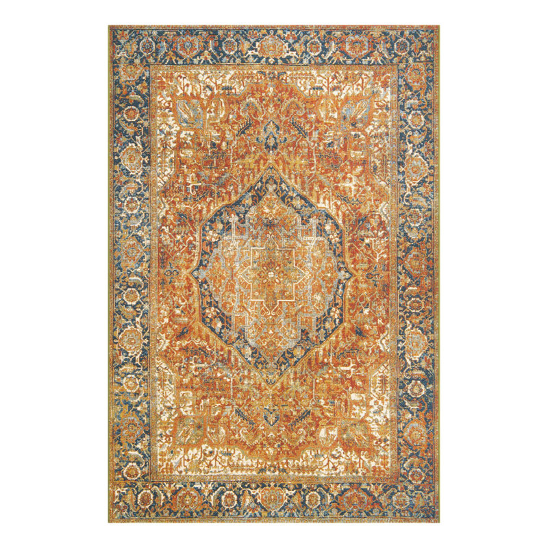 Ajaden Washable Oriental Indoor / Outdoor Rug