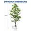 Faux Plant-1360483510-1360483511