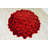 Andreoni Floral Indoor Rug-650518483