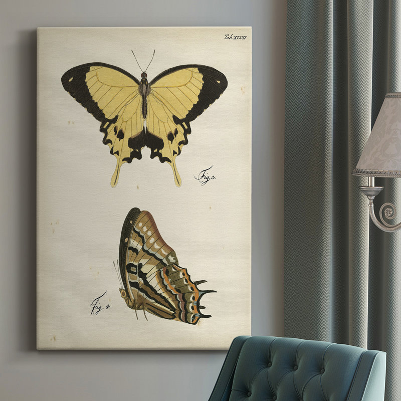 «Butterfly Profile I», peinture sur toile tendue, H 60 po x l 40 po x P 1 po