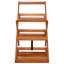 Wood Plant Stand