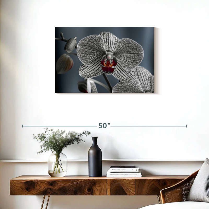 Harnek Streaked White Orchid, 20" H x 30" W