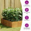 Almarene Metal Raised Garden Bed-483314909