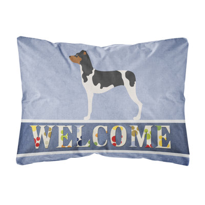  Coussin décoratif brésilien Terrier