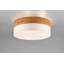 Rennan 3-Light 50cm LED Integrated Flush Mount-1555410740