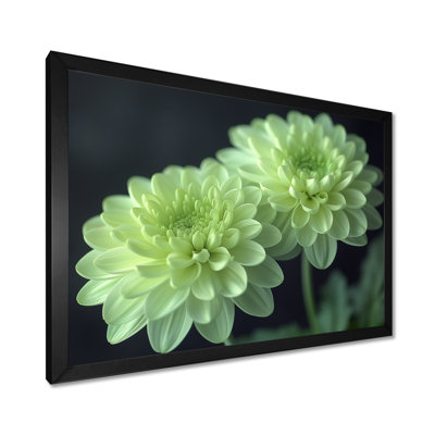«Green Monochrom Mums Flowers Bouquet I», art mural «Mums»
