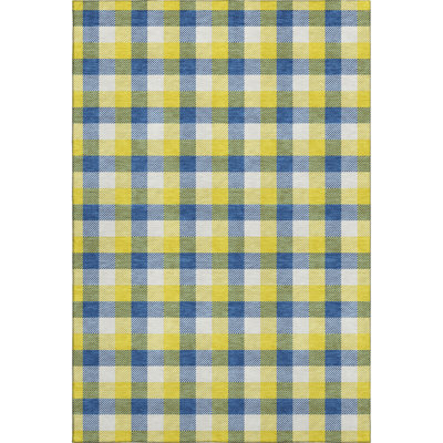 Premium Machine Washable Crumley AMF1053 Plaid Rug