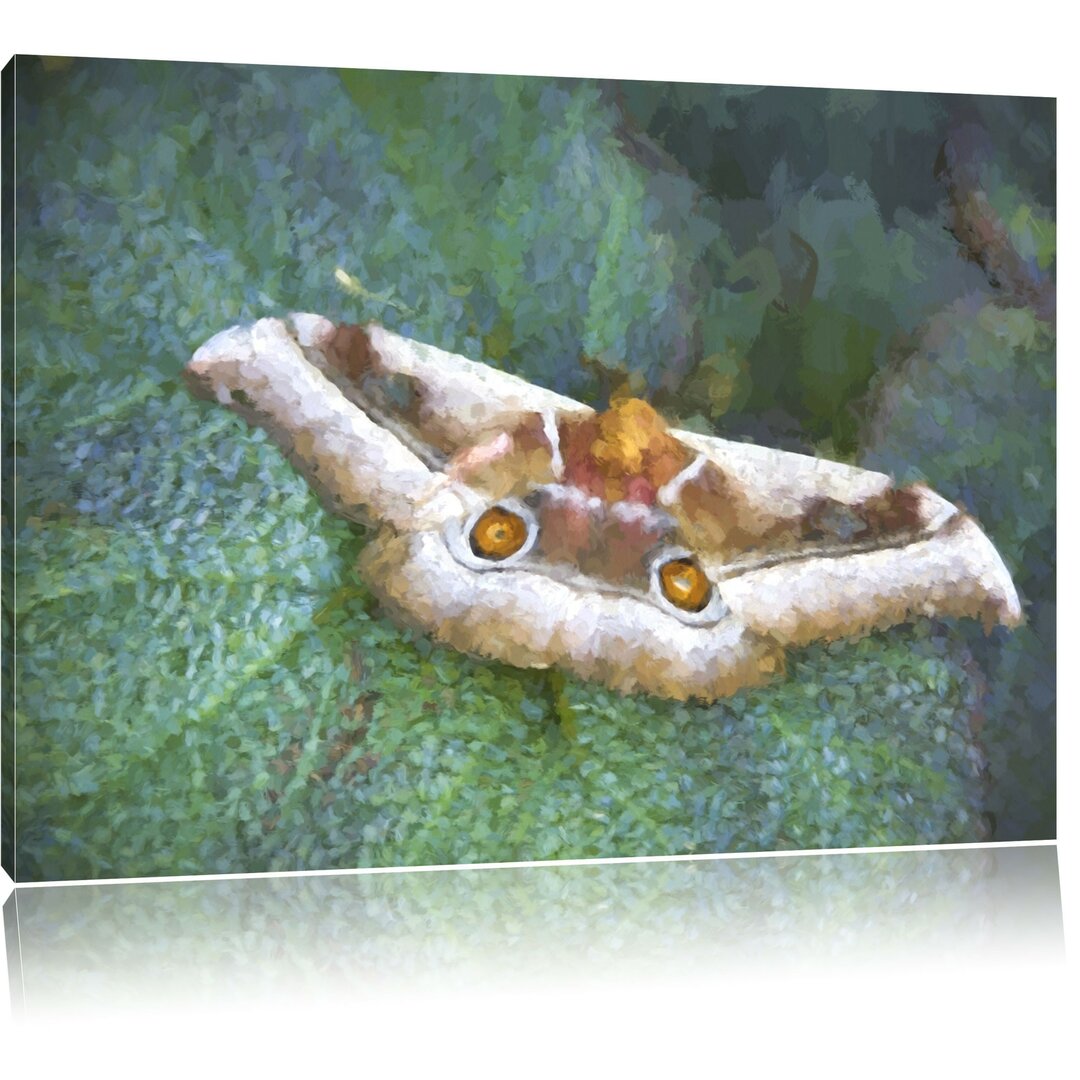 Leinwandbild Schmetterling auf Blatt in Grün/Braun