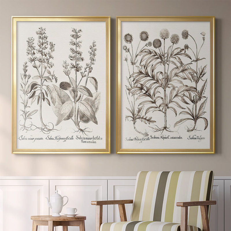 Sépia Besler Botanicals III - Ensemble de 2 reproductions de cadres photo sur toile, Or, H 30,5 po x l 45 po x P 1,25 po