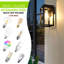 Matte Black 27cm H Outdoor Sconce
