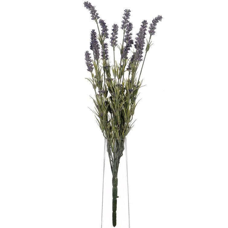Lavender Stems, Bushes, And Sprays Arrangement