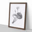 Egyptian Lotus Flower - Picture Frame Painting Print-55725155-55725156