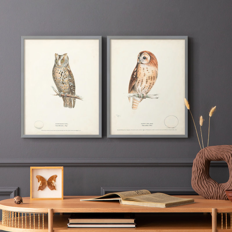 Scops Eared Owl - reproduction encadrée de qualité supérieure - prête à être accrochée - aucun clou requis - aucun clou requis