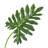 Artificial Selloum Philodendron Leaf Stem
