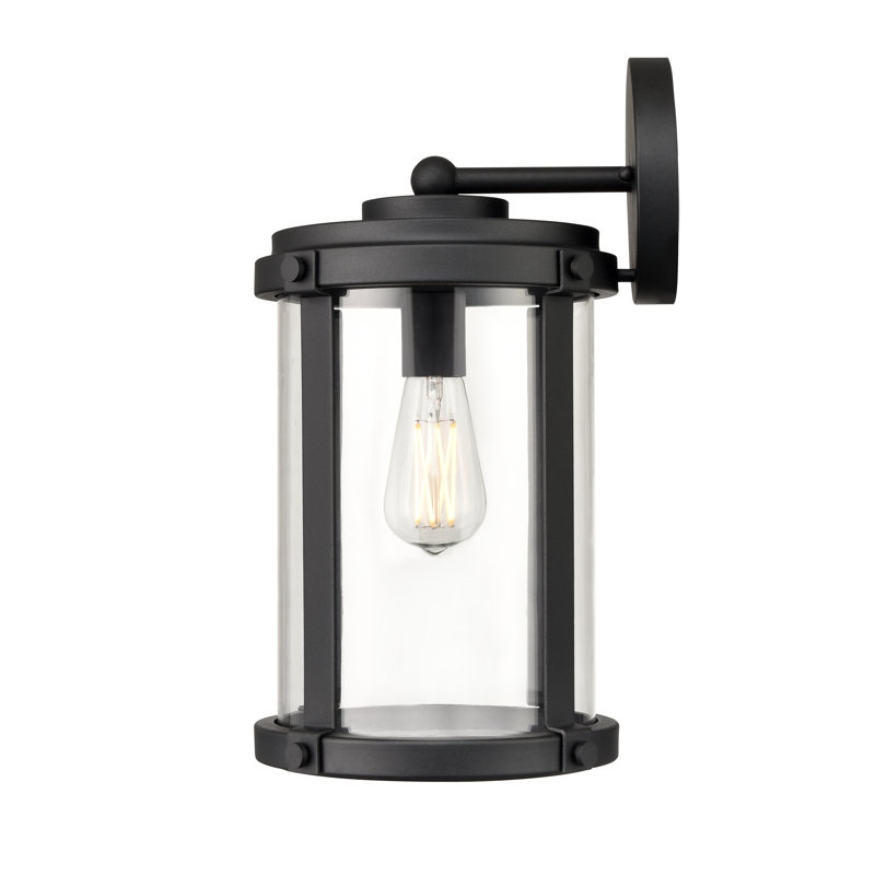 Aadison 1 Light Outdoor Wall Sconce, 16.8" H x 9" W x 10.1" D