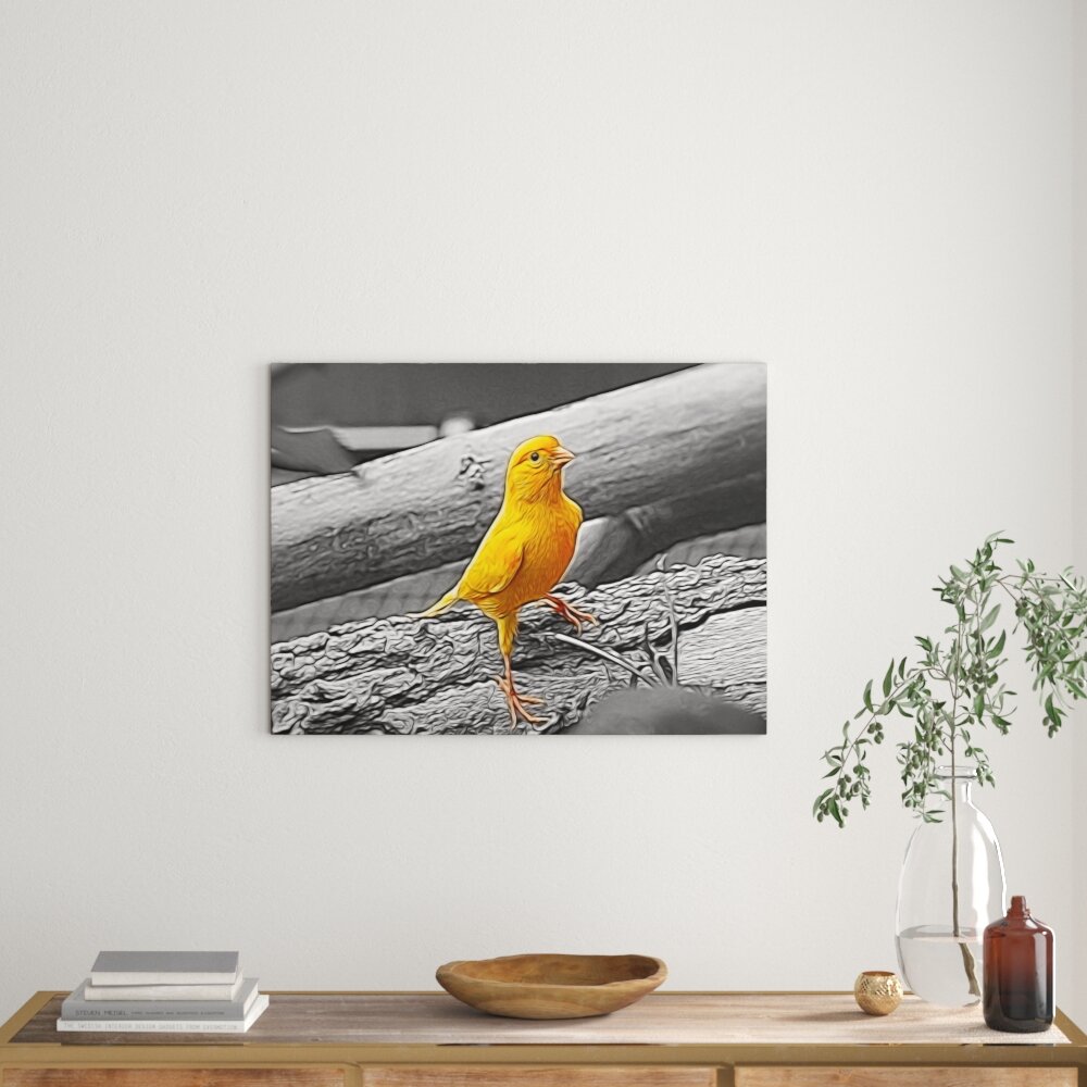 Leinwandbild Kleiner wachsamer Kanarienvogel