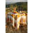Pumpkin Tablecloth-15216669-124549400