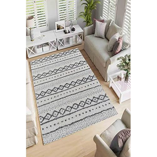 Pegg Machine Woven / Power Loomed Area Rug