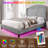 Kazys Upholstered Metal Wingback Bed-1482049757