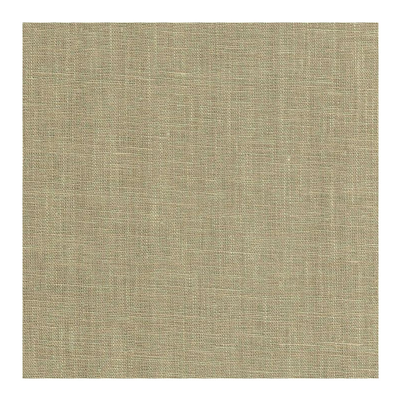 Paloma Raffia, Raphia