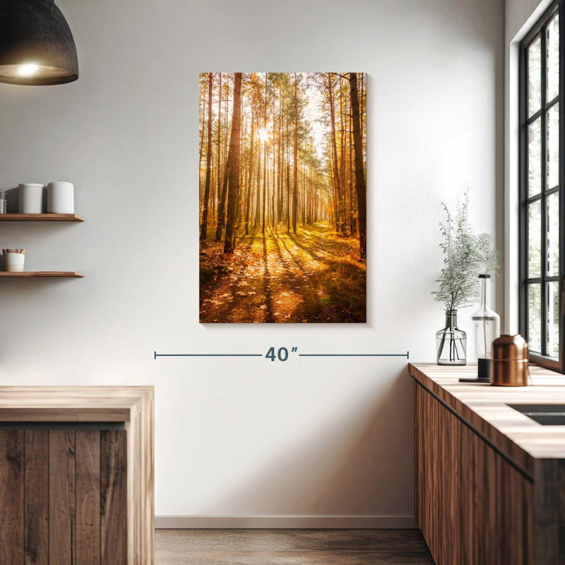 Alvord, forêt d'automne, soleil, H 39 po x l 26 po