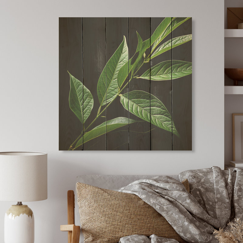 «Simplicity in Sage Leaves» - Art mural en bois sur bois de pin naturel, H 25 po x l 25 po