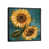 Black Framed Canvas