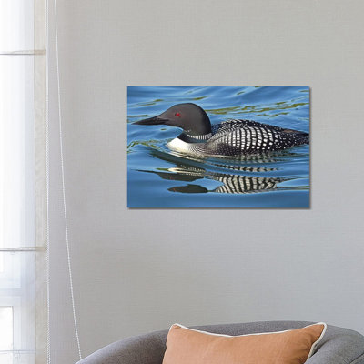 Loon Reflections par Brian Wolf - photographie sur toile tendue