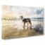 Border Collie Dog at the Beach in Abstract - Wrapped Canvas-55315965