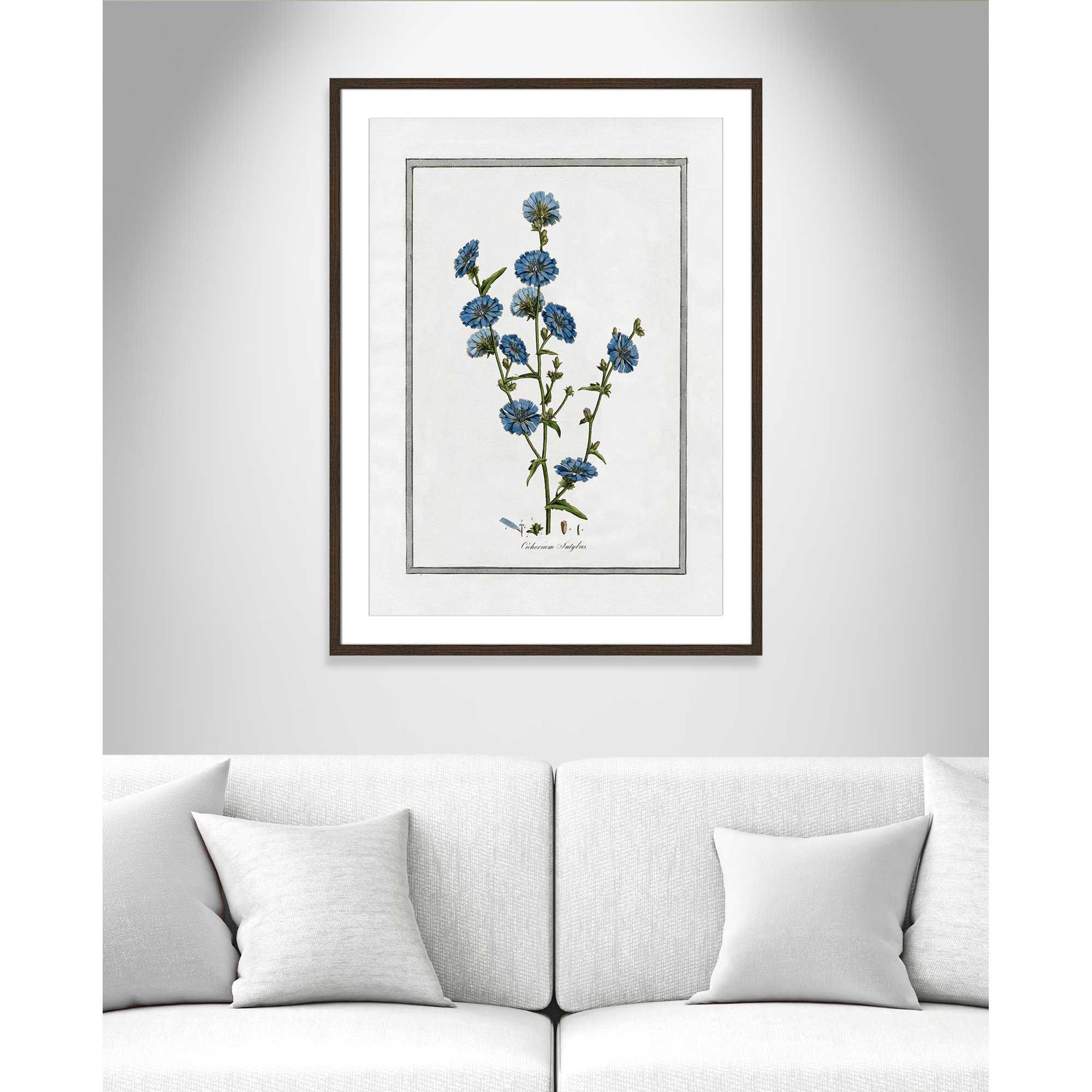 Soft Botanical I - Framed Art Full Bleed, 25.5" W x 35.5" H, Walnut Framed