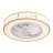 Evamae 5 - Blade Classical Elegant LED Caged Ceiling Fan with Light Kit and Remote Control-1426693831