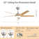 Mitali 52" 5-ABS-Blade Modern Propeller Ceiling Fan With Light and Remote Control