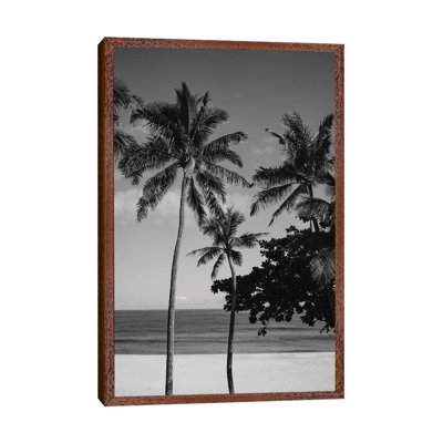 Hawaiian Palms V by Bethany Young - Print on Canvas