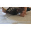  All Season Polyester Down Alternative Comforter/Duvet Insert-990009615
