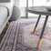 Oriental Indoor Rug