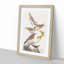 A Collection of Birds by John Audubon - Picture Frame Painting Print on Paper-55457835-55457837