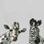 Giraffe And Zebra IV - Wrapped Canvas Painting-34960319