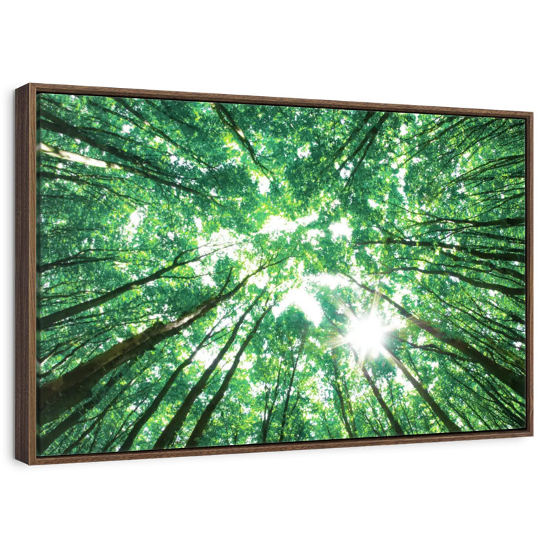 Auvent forêt, 13 po x 9 po, Cadre flottant noyer