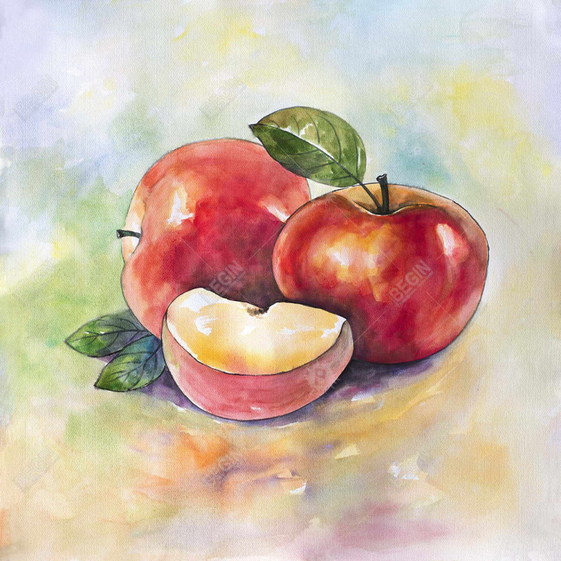" Succulent Apples "