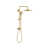 Brushed Gold is out of stock selected
