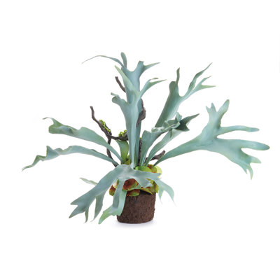 Cunha Faux Fern Plant