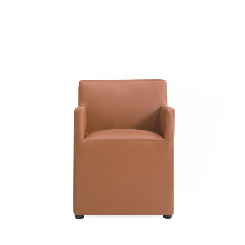Fauteuil brun selle, Brun