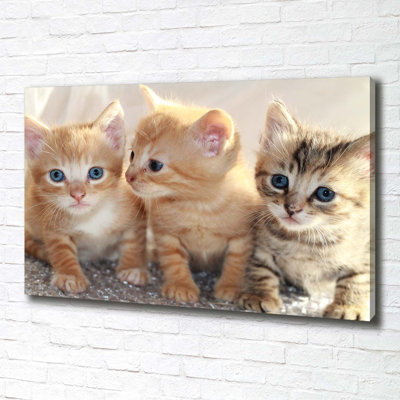 Small Cats - Wrapped Canvas Print