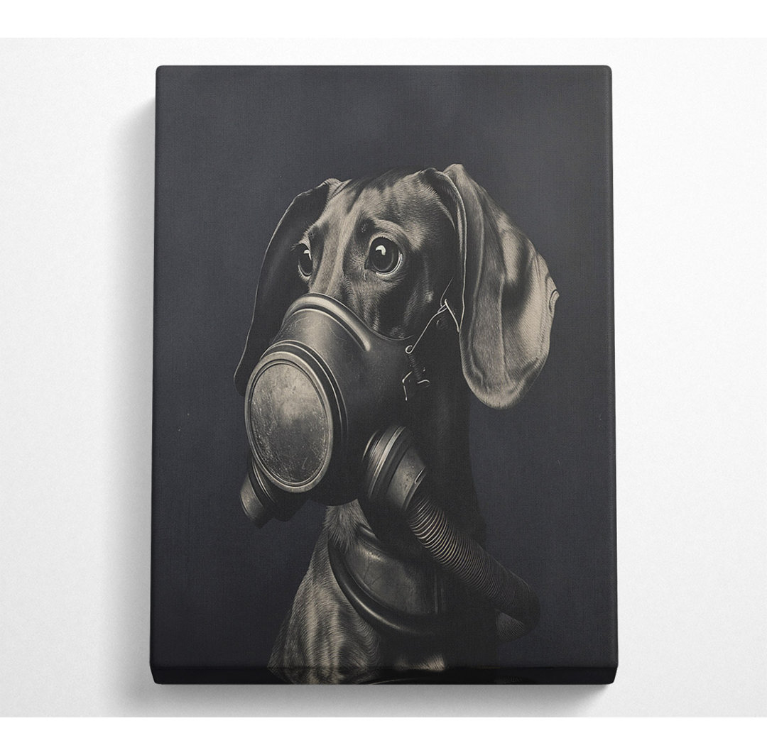 Daschound Gasmask - No Frame Kunstdrucke auf Leinwand