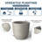 Karola Pot Planter-1209761118-1229026308