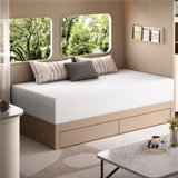 12 Inch Multiple-sized Memory Foam Mattress with 3 Layers