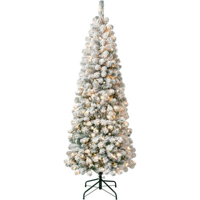 Arbre de Noël illuminé en acacia éclairé, lumières incandescentes transparentes, à brancher, 6 pi